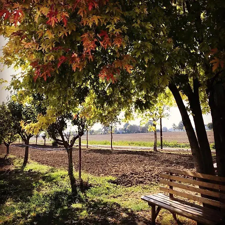 Ca Rosa * Poviglio (Reggio Emilia)