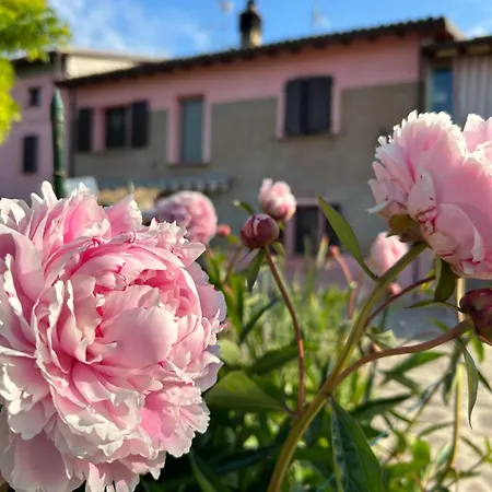 Ca Rosa *