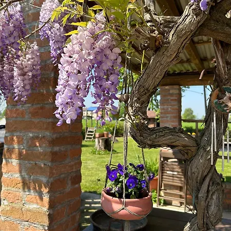 Ca Rosa Апартаменты Poviglio (Reggio Emilia)