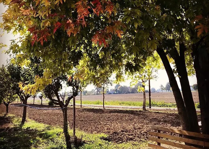 Ca Rosa * Poviglio (Reggio Emilia)