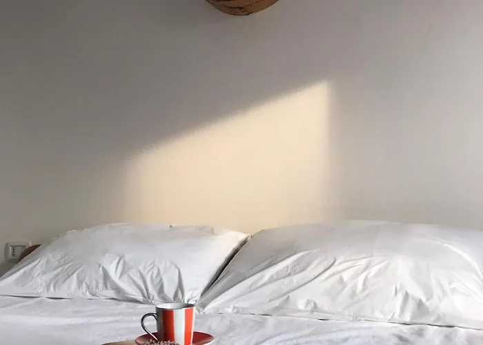 Ca Rosa Poviglio (Reggio Emilia)