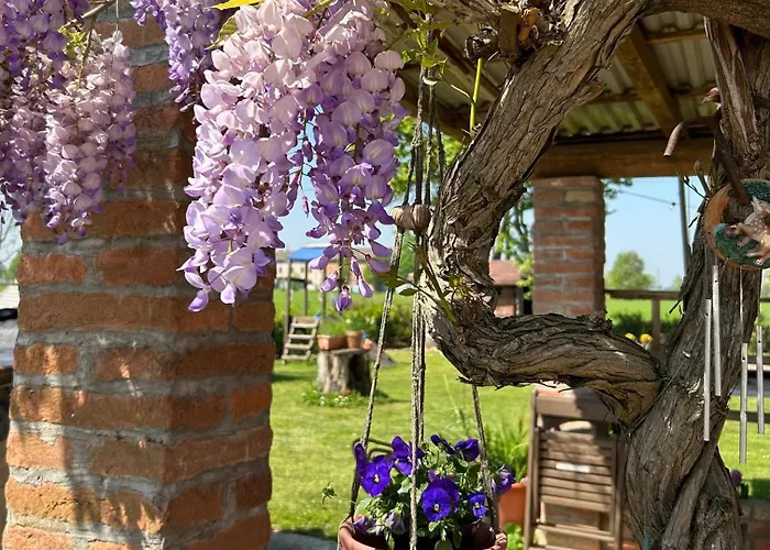 Ca Rosa Lägenhet Poviglio (Reggio Emilia)