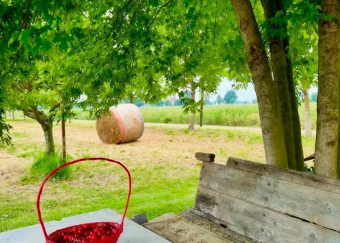 Ca Rosa Poviglio (Reggio Emilia)